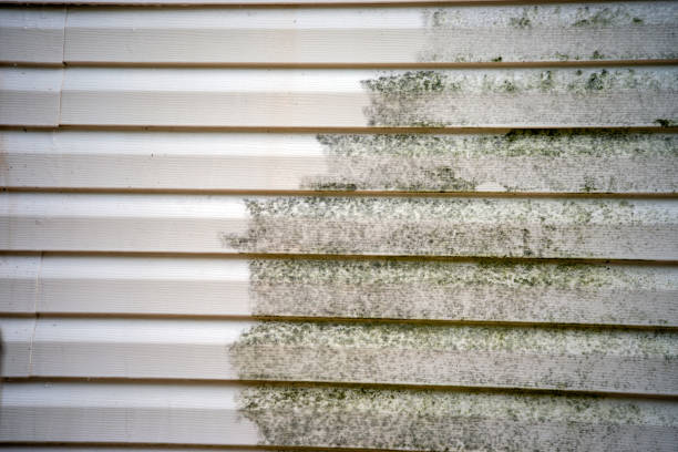 Best Construction Debris Removal  in Kohler, WI